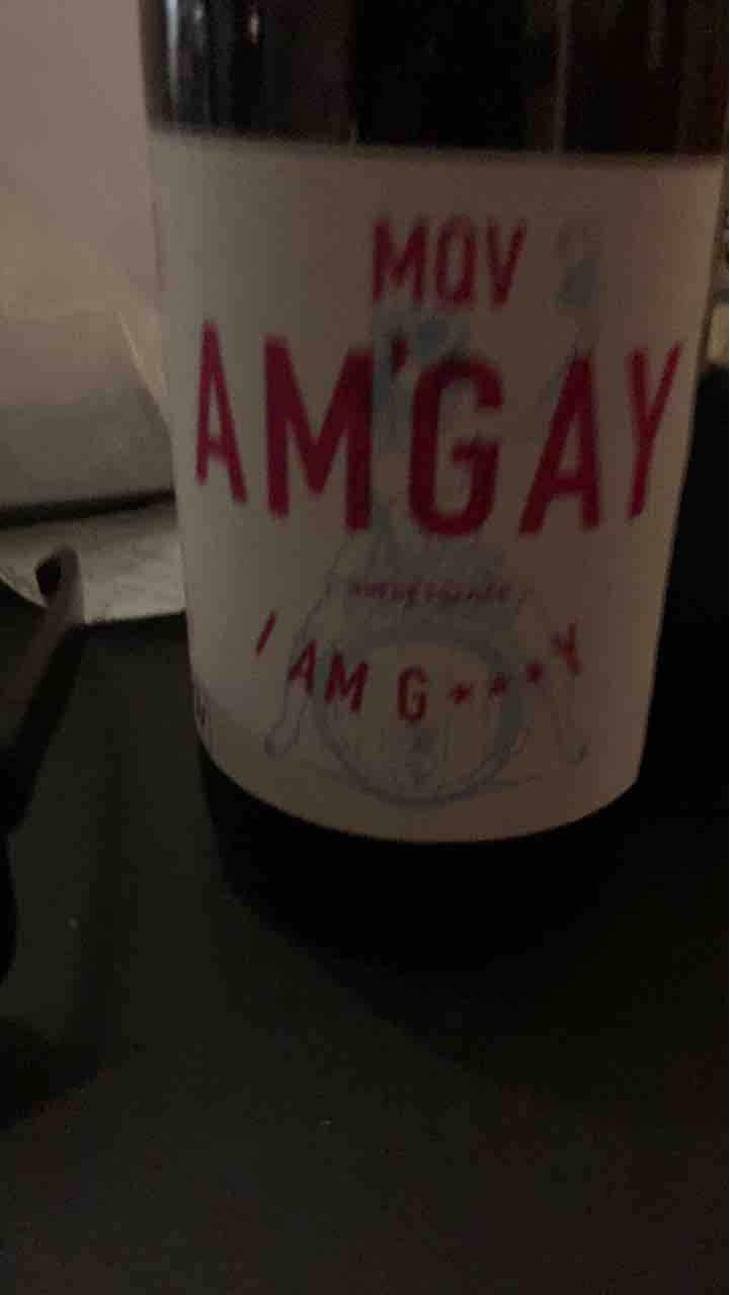 Am’Gay - MQV - Mael Quentin 