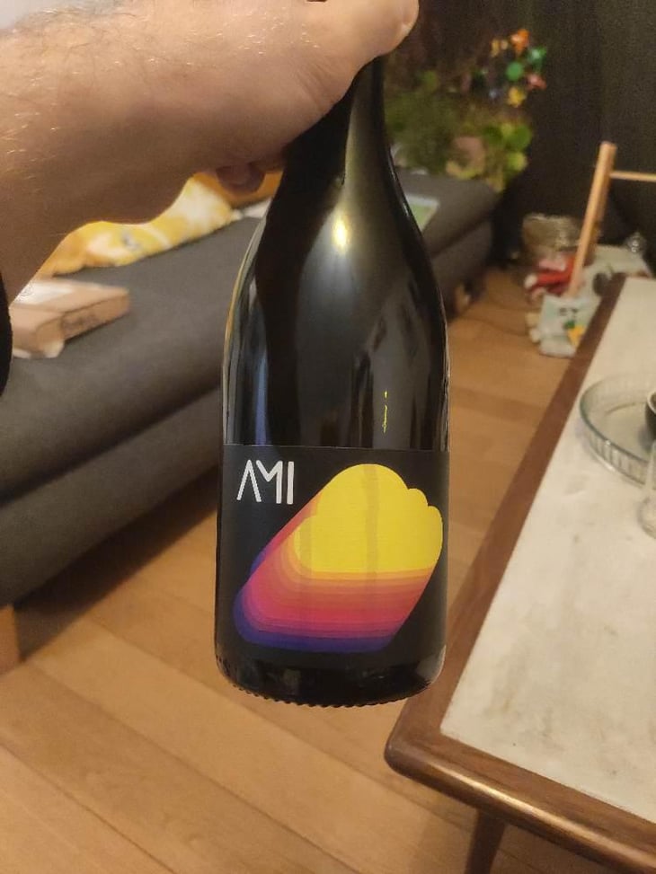 AMI AMIE - Domaine Ami - Paul Marchand-Perarnau & Willy Roulendes -2019