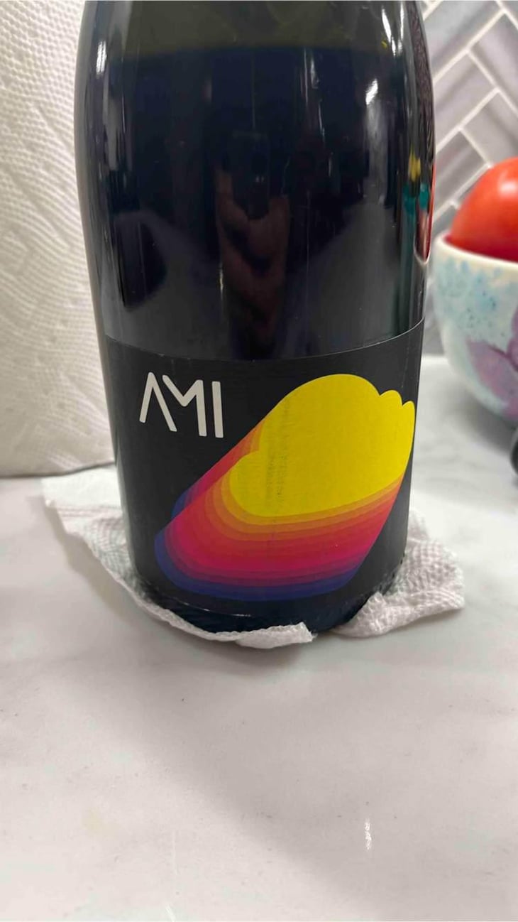 AMI AMIE - Domaine Ami - Paul Marchand-Perarnau & Willy Roulendes -2019