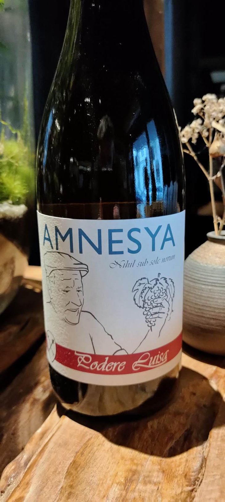 Amnesya - Podere Luisa - Sauro Burzagli e Romina Erbosi 