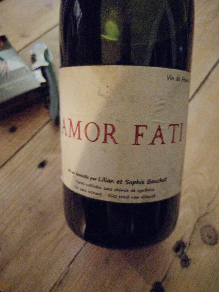 Amor Fati - Lilian & Sophie Bauchet - Lilian & Sophie Bauchet 
