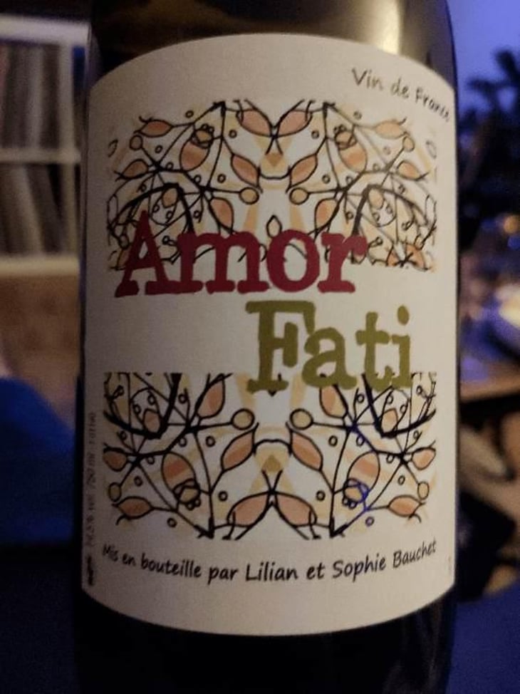 Amor Fati - Lilian & Sophie Bauchet - Lilian & Sophie Bauchet 