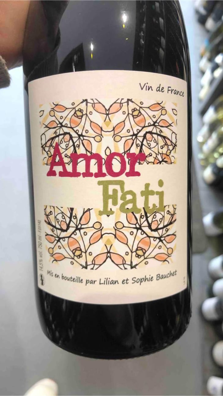 Amor Fati - Lilian & Sophie Bauchet - Lilian & Sophie Bauchet 