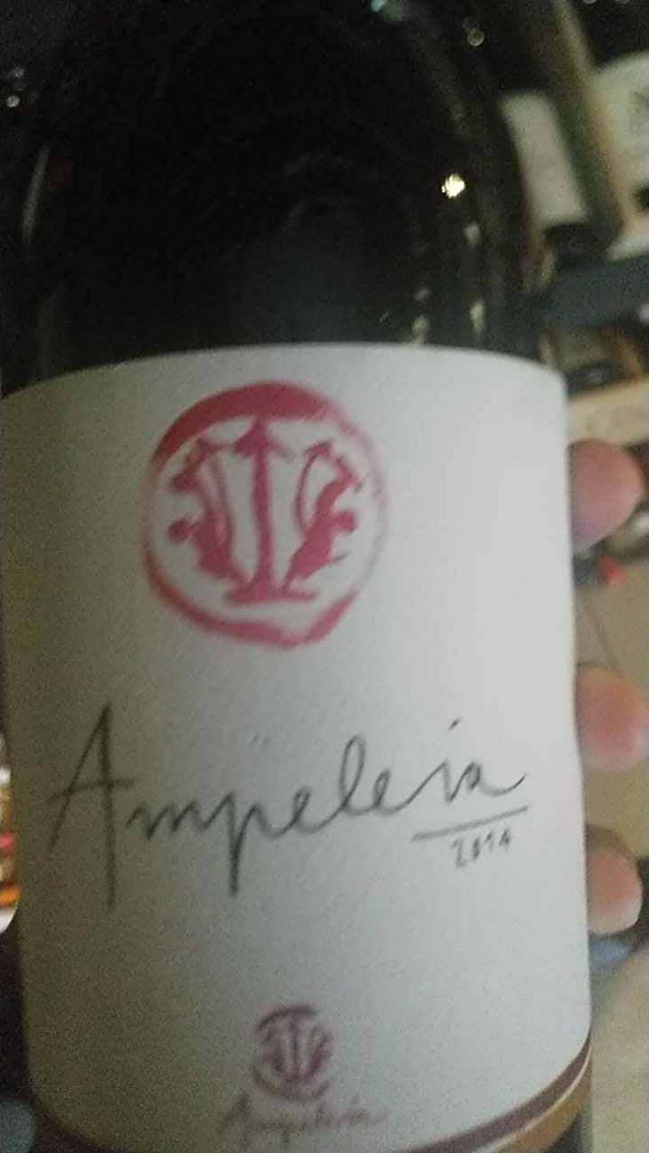 Ampeleia - Ampeleia - Marco Tait 