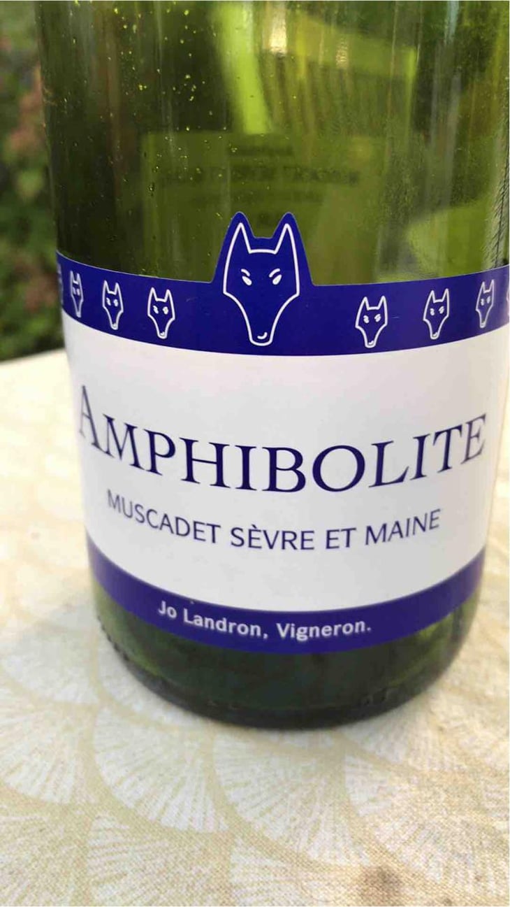 Amphibolite - Domaine Jo Landron - Jo Landron 