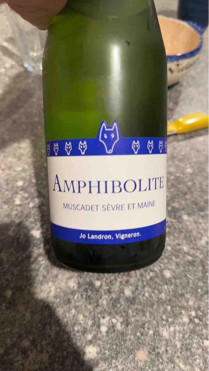 Amphibolite - Domaine Jo Landron - Jo Landron 