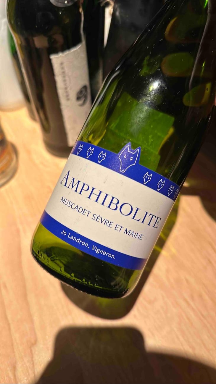 Amphibolite - Domaine Jo Landron - Jo Landron 