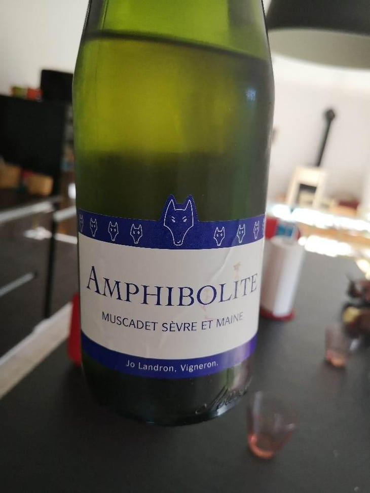 Amphibolite Nature - Domaine Jo Landron - Jo Landron 