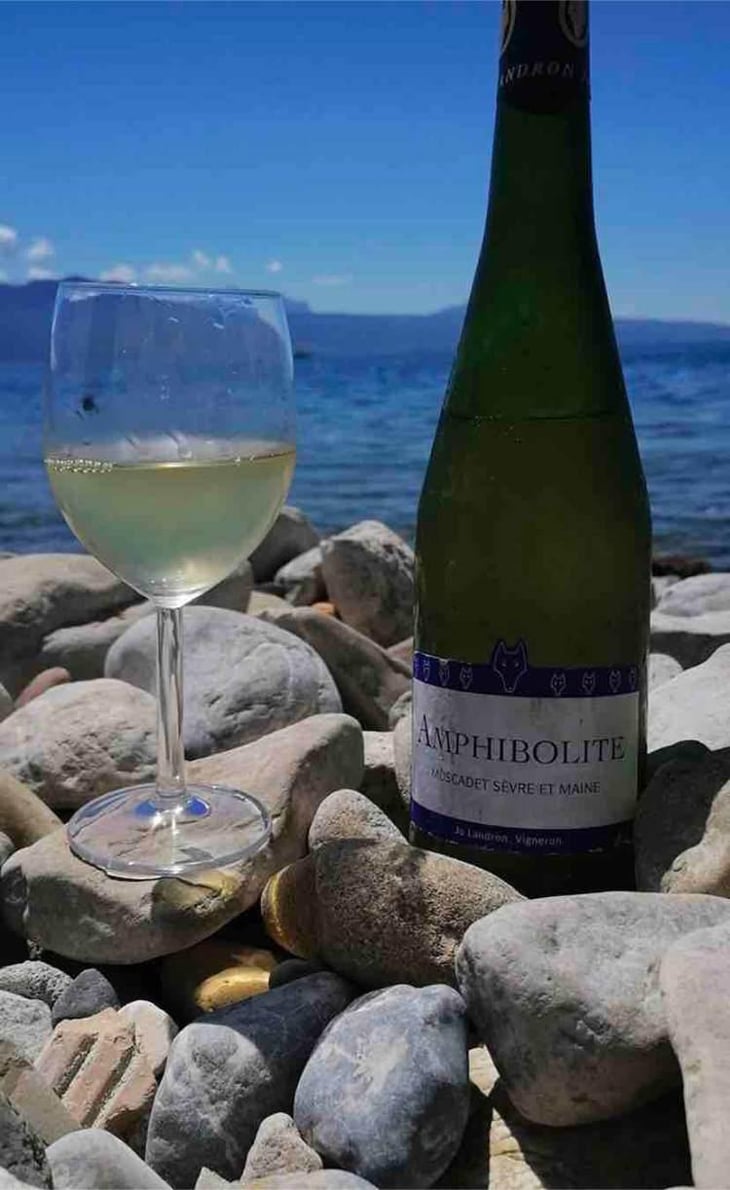 Amphibolite Nature - Domaine Jo Landron - Jo Landron 
