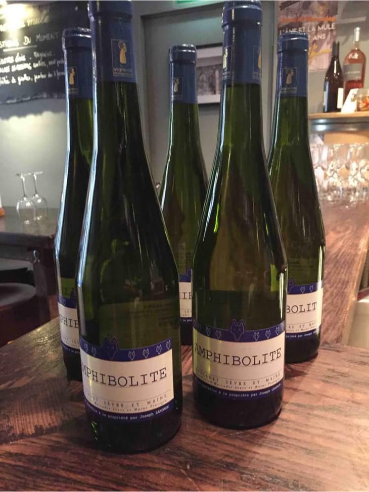 Amphibolite Nature - Domaine Jo Landron - Jo Landron 