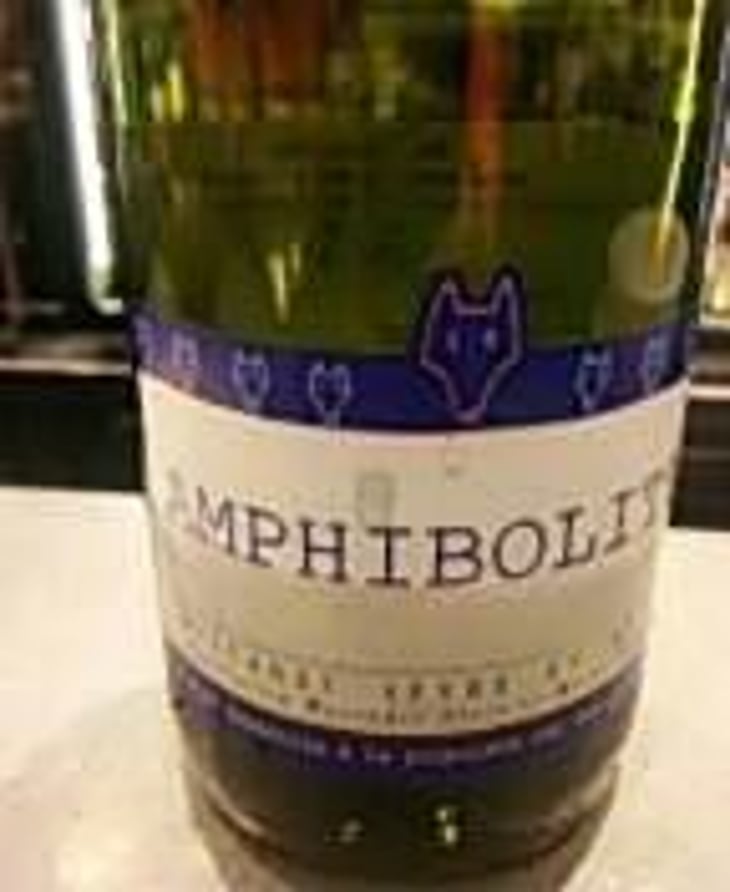 Amphibolite Nature - Domaine Jo Landron - Jo Landron 