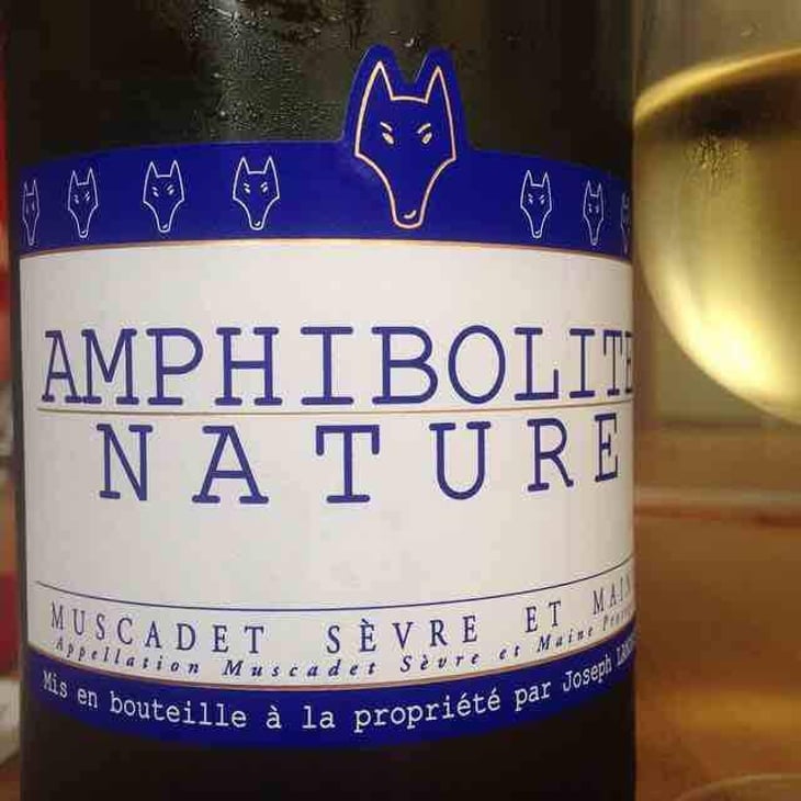 Amphibolite Nature - Domaine Jo Landron - Jo Landron 