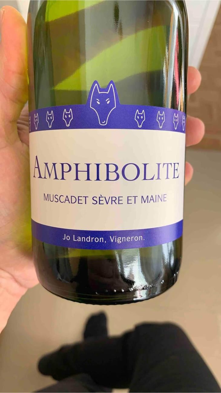 Amphibolite Nature - Domaine Jo Landron - Jo Landron 