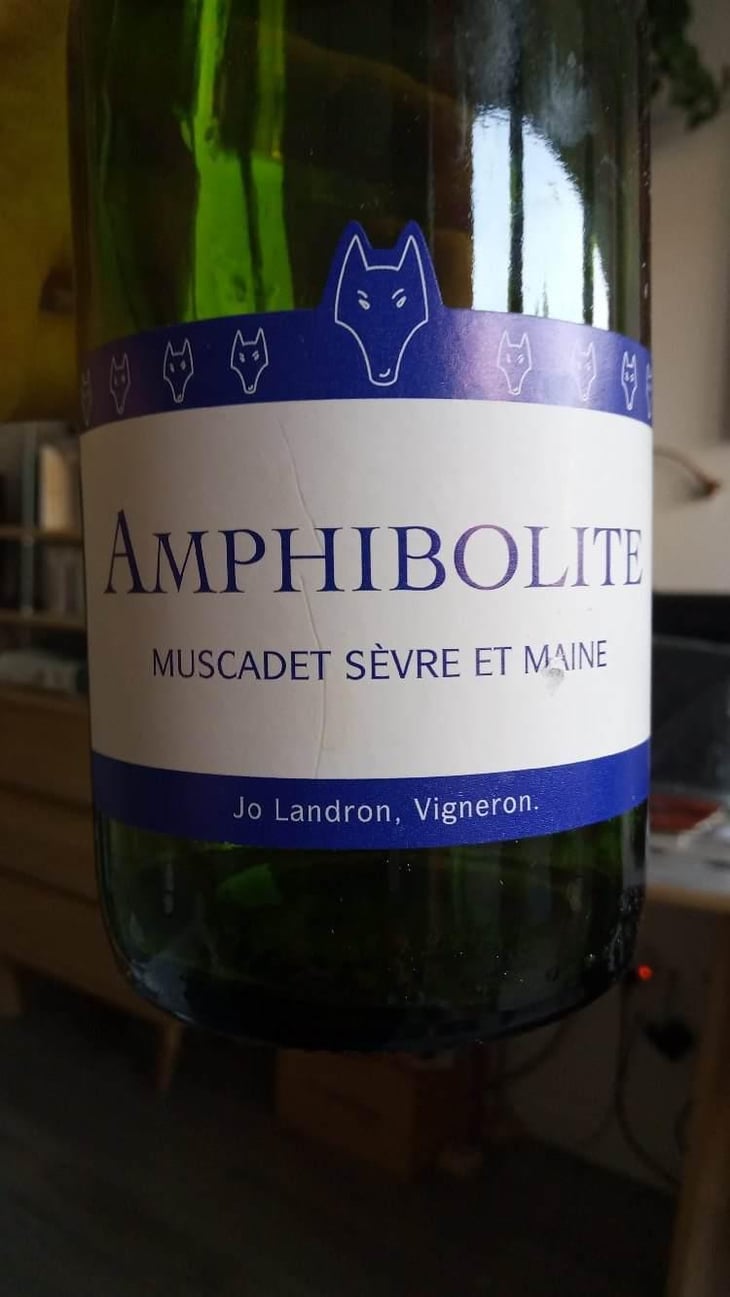 Amphibolite Nature - Domaine Jo Landron - Jo Landron 