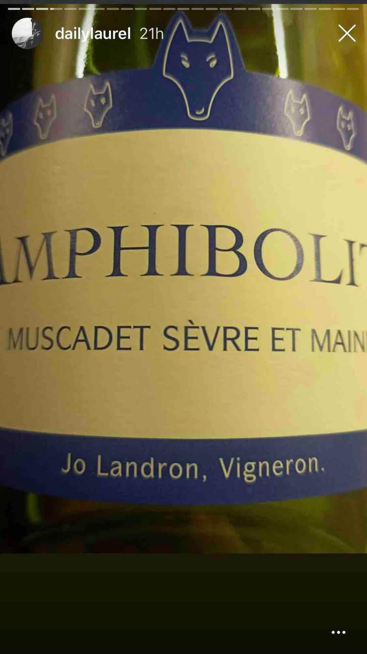 Amphibolite Nature - Domaine Jo Landron - Jo Landron 