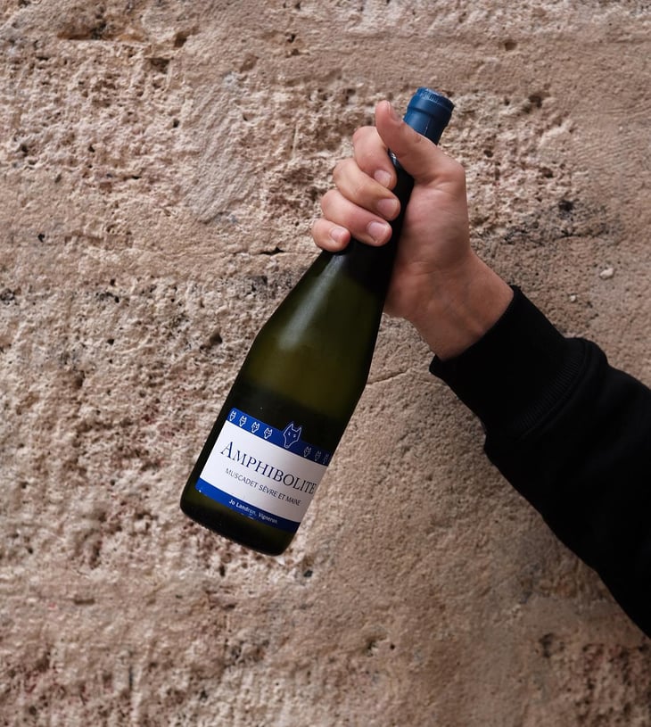 Amphibolite Nature - Domaine Jo Landron - Jo Landron 