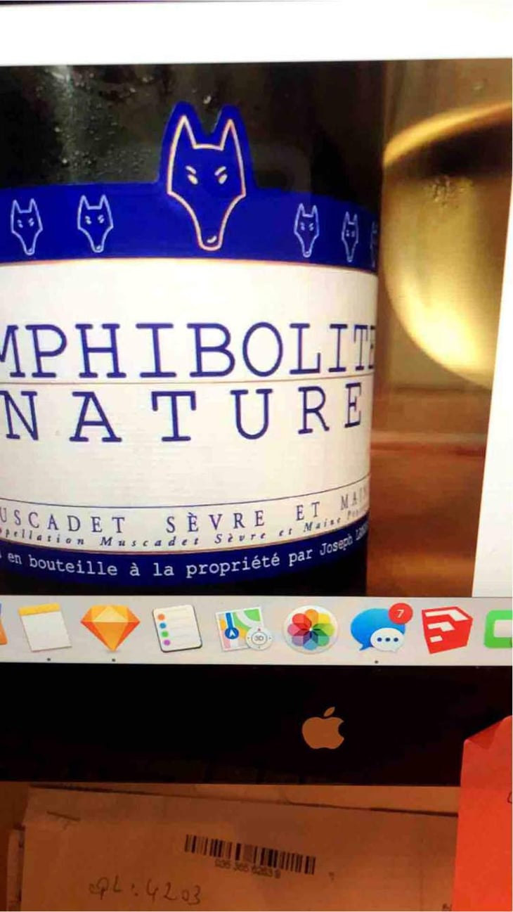 Amphibolite - Domaine Jo Landron - Jo Landron 