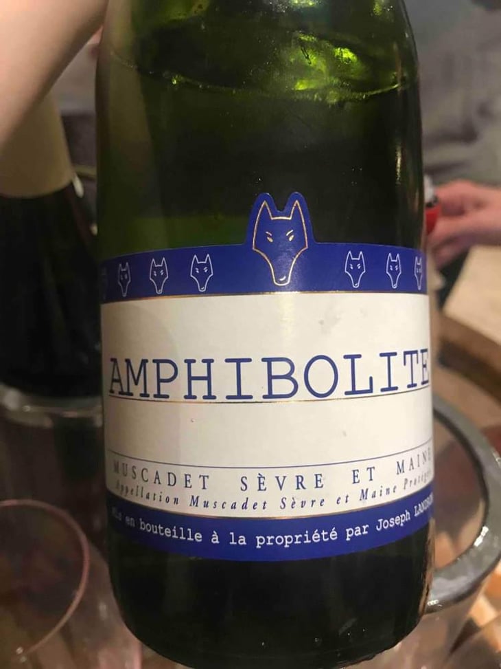 Amphibolite - Domaine Jo Landron - Jo Landron 