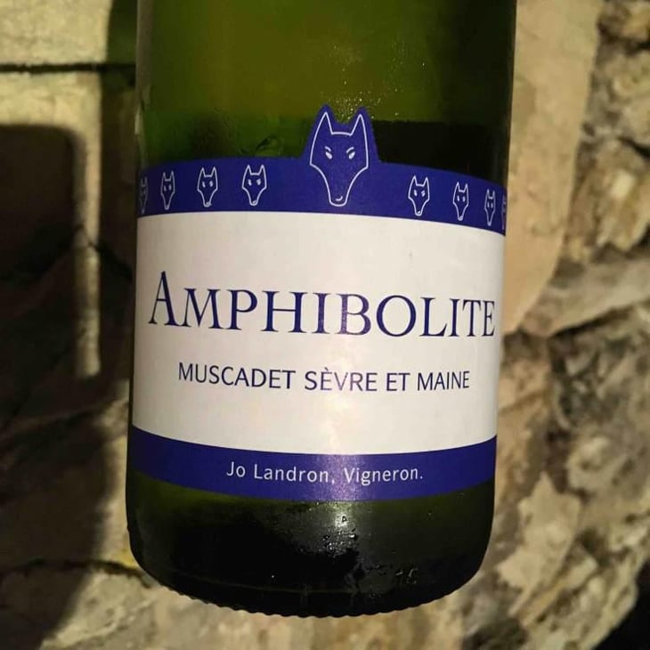 Amphibolite - Domaine Jo Landron - Jo Landron 