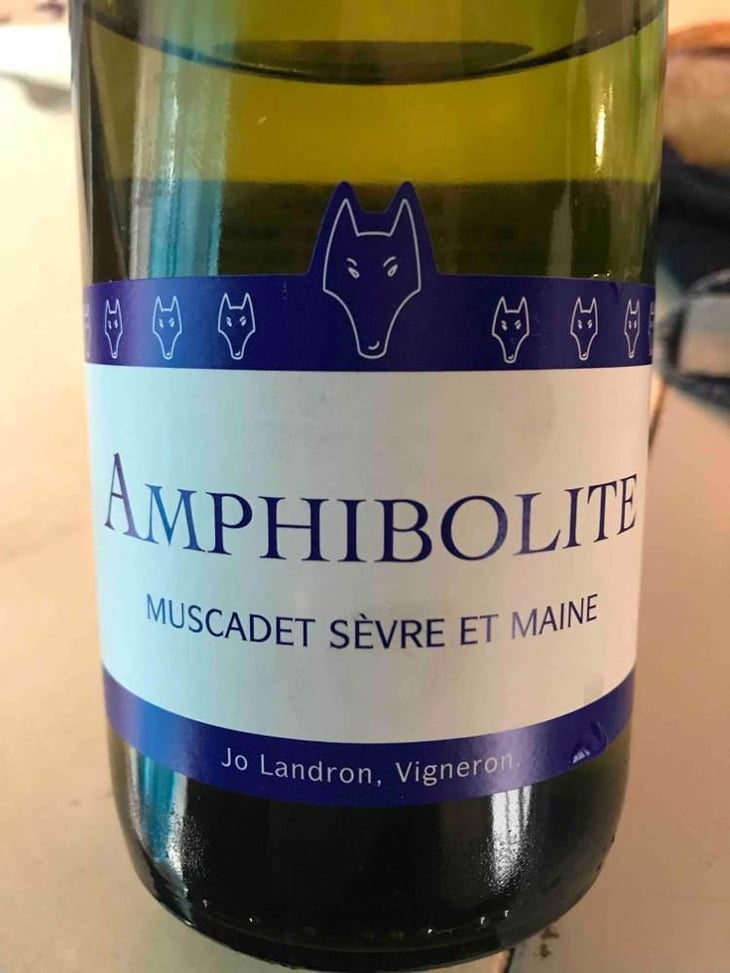 Amphibolite - Domaine Jo Landron - Jo Landron 