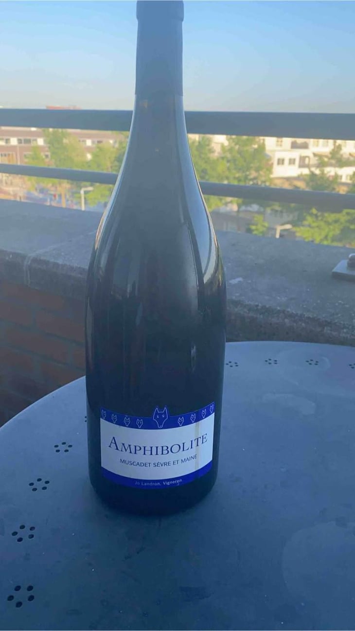 Amphibolite - Domaine Jo Landron - Jo Landron 