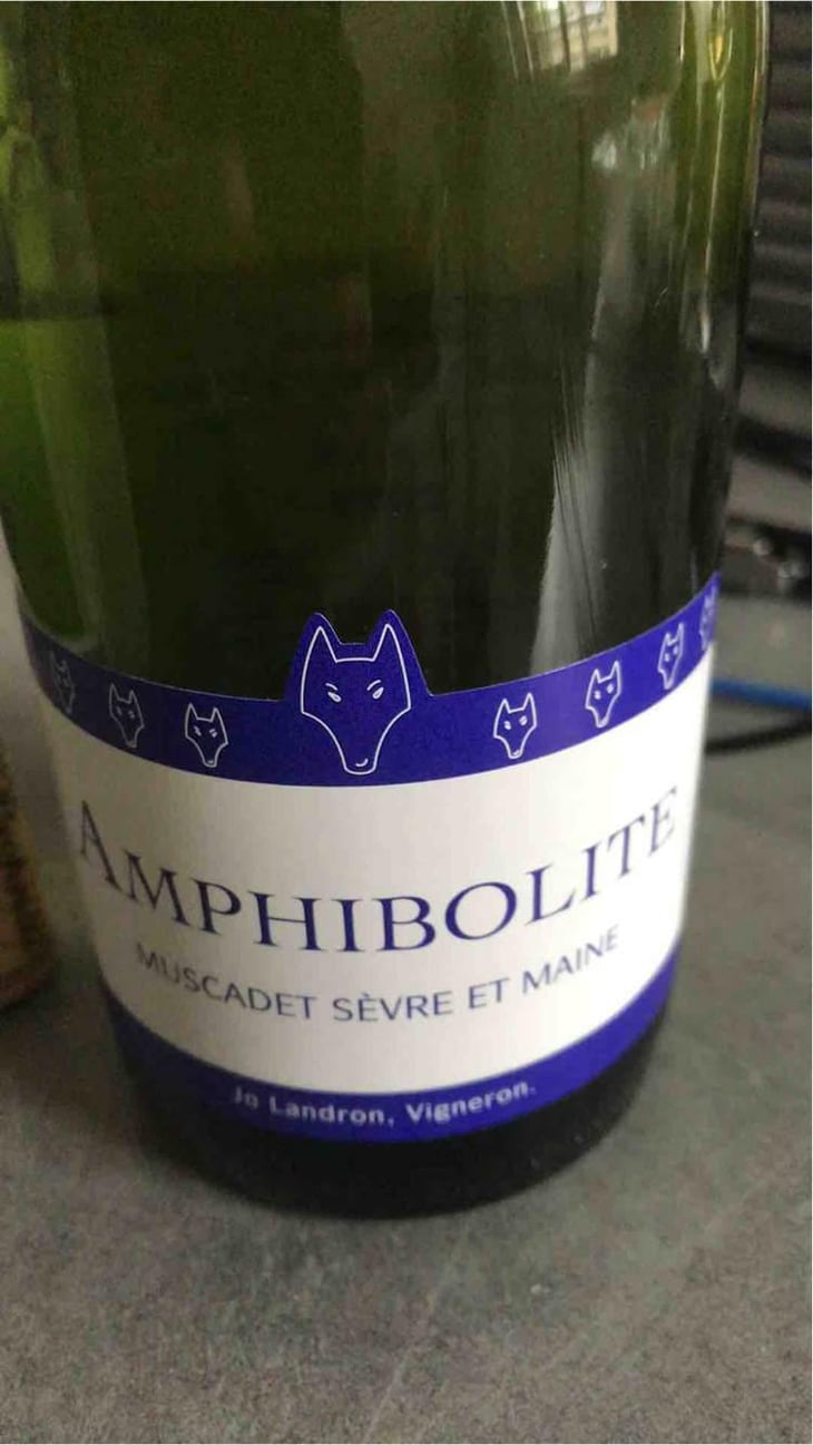 Amphibolite - Domaine Jo Landron - Jo Landron 