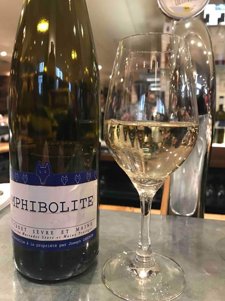 Amphibolite - Domaine Jo Landron - Jo Landron 