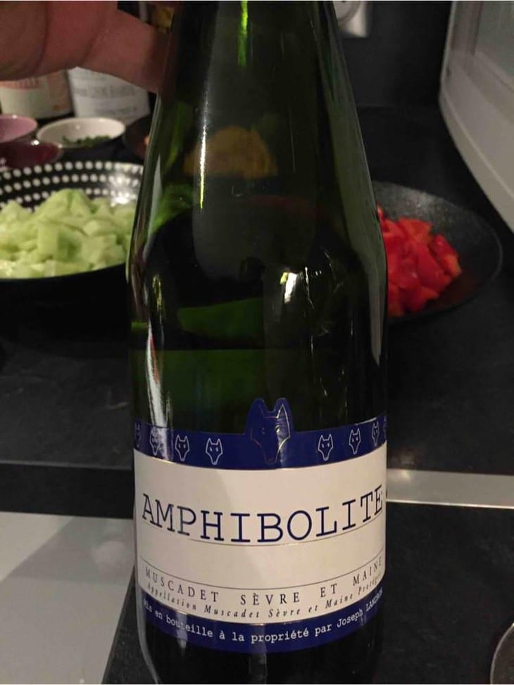 Amphibolite - Domaine Jo Landron - Jo Landron 