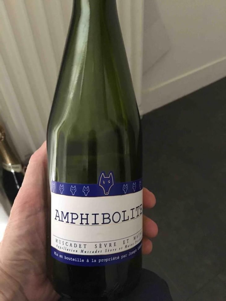 Amphibolite - Domaine Jo Landron - Jo Landron 