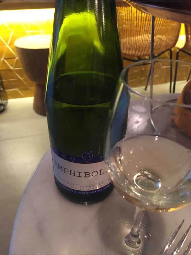 Amphibolite - Domaine Jo Landron - Jo Landron 