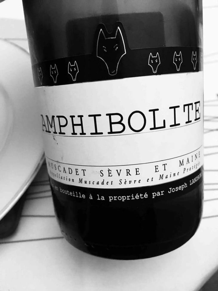 Amphibolite - Domaine Jo Landron - Jo Landron 
