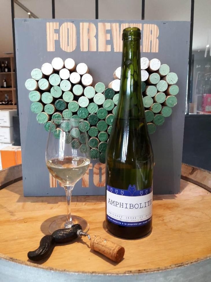 Amphibolite - Domaine Jo Landron - Jo Landron 