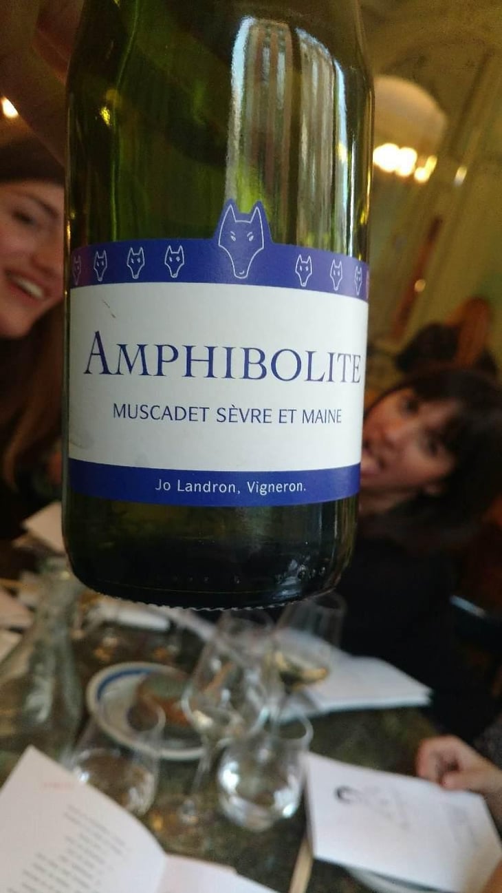 Amphibolite - Domaine Jo Landron - Jo Landron 