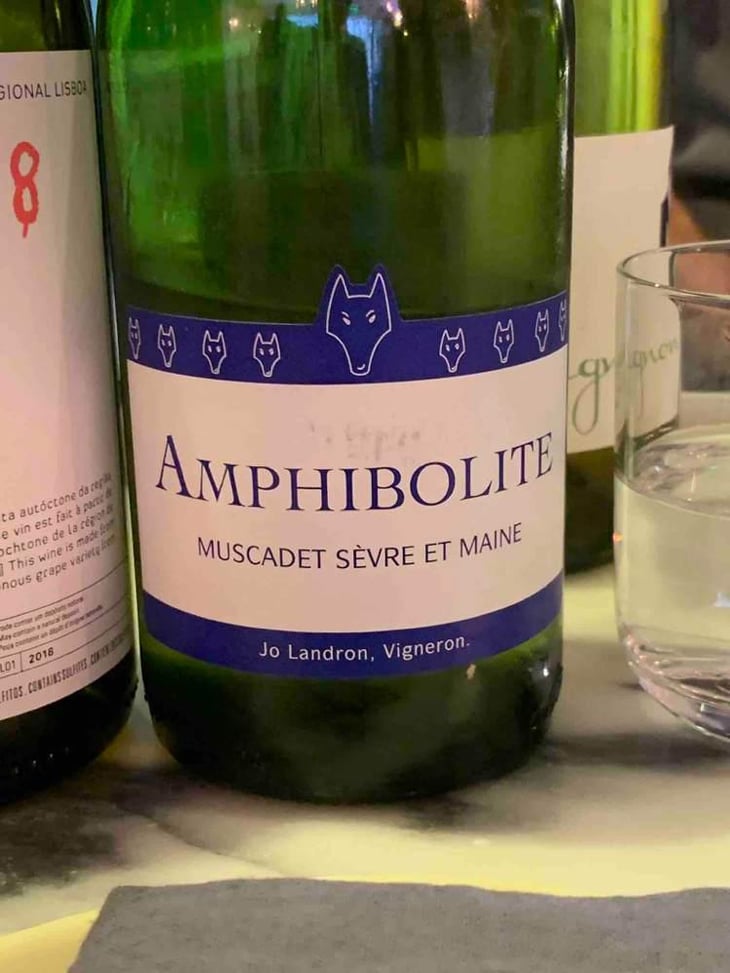 Amphibolite - Domaine Jo Landron - Jo Landron 