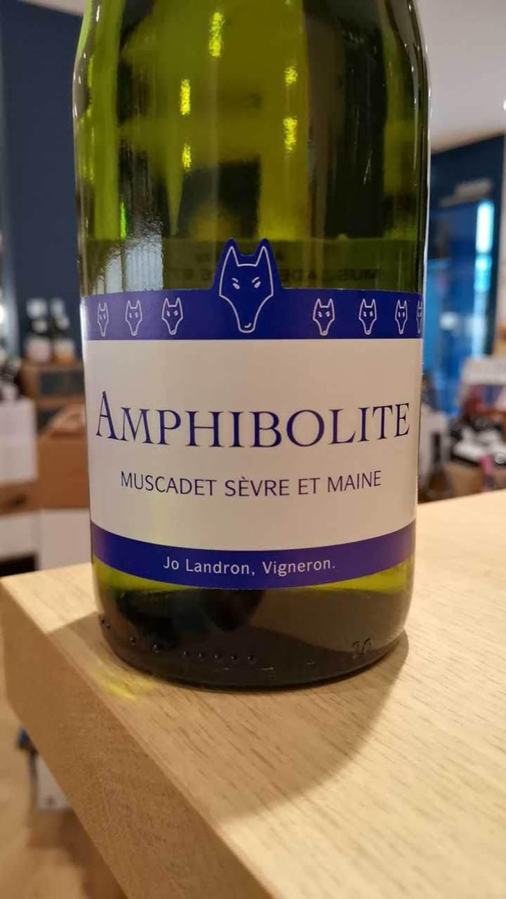Amphibolite - Domaine Jo Landron - Jo Landron 