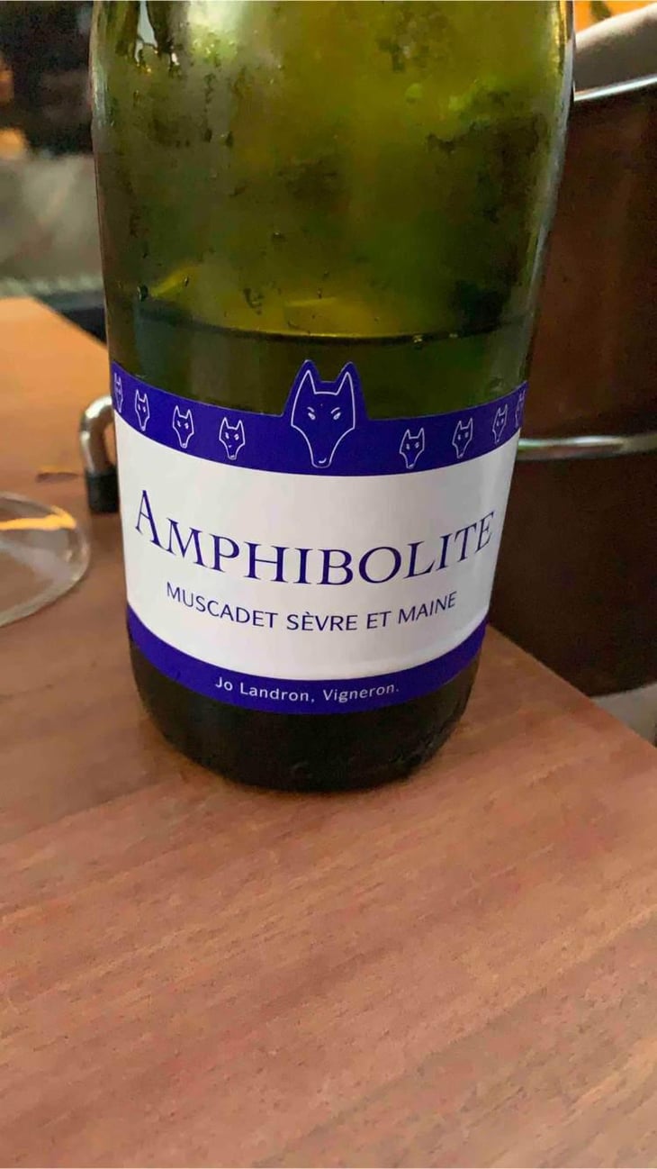 Amphibolite - Domaine Jo Landron - Jo Landron 