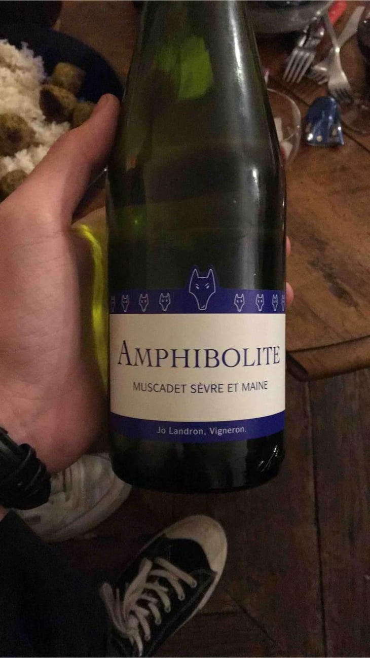 Amphibolite - Domaine Jo Landron - Jo Landron 