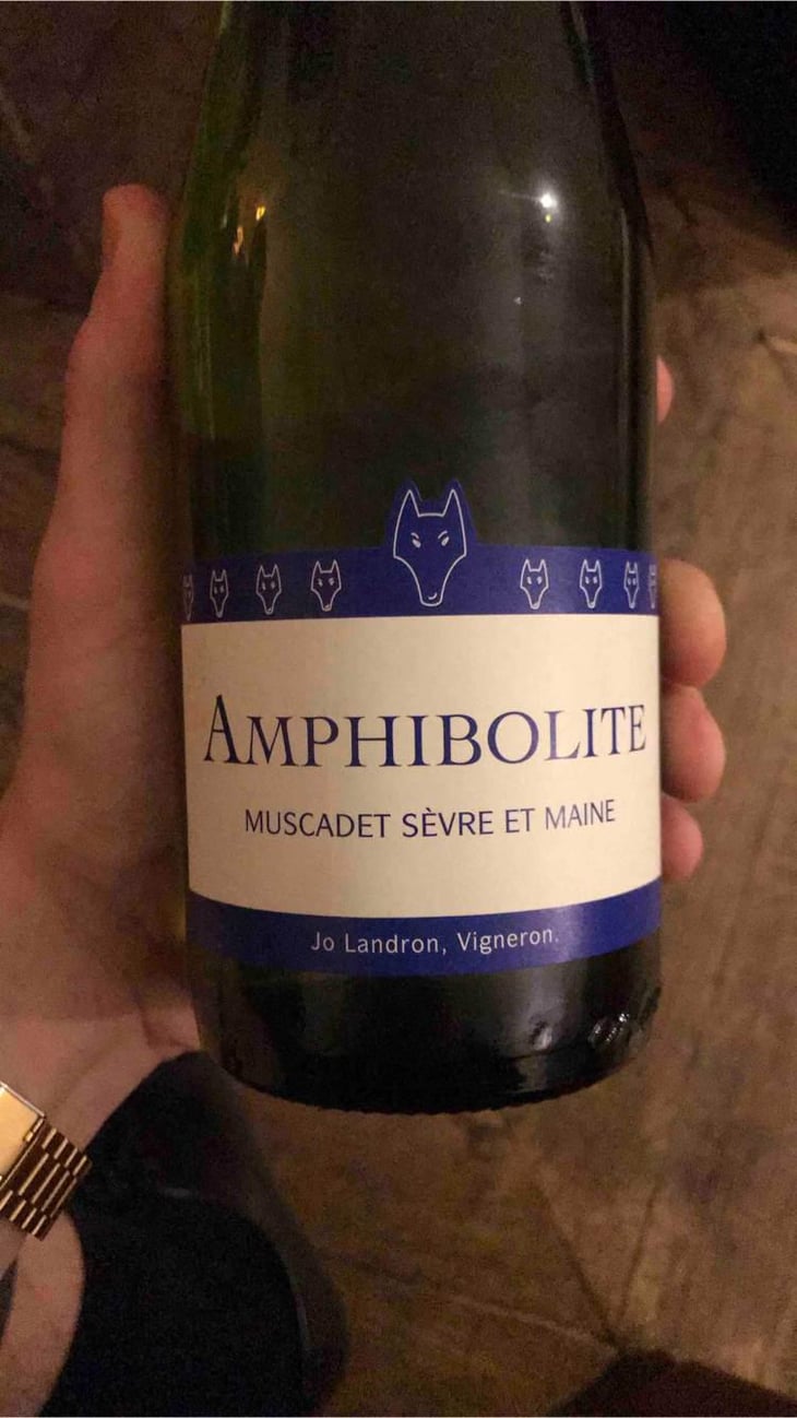 Amphibolite - Domaine Jo Landron - Jo Landron 