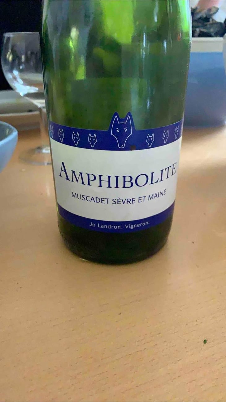 Amphibolite - Domaine Jo Landron - Jo Landron 