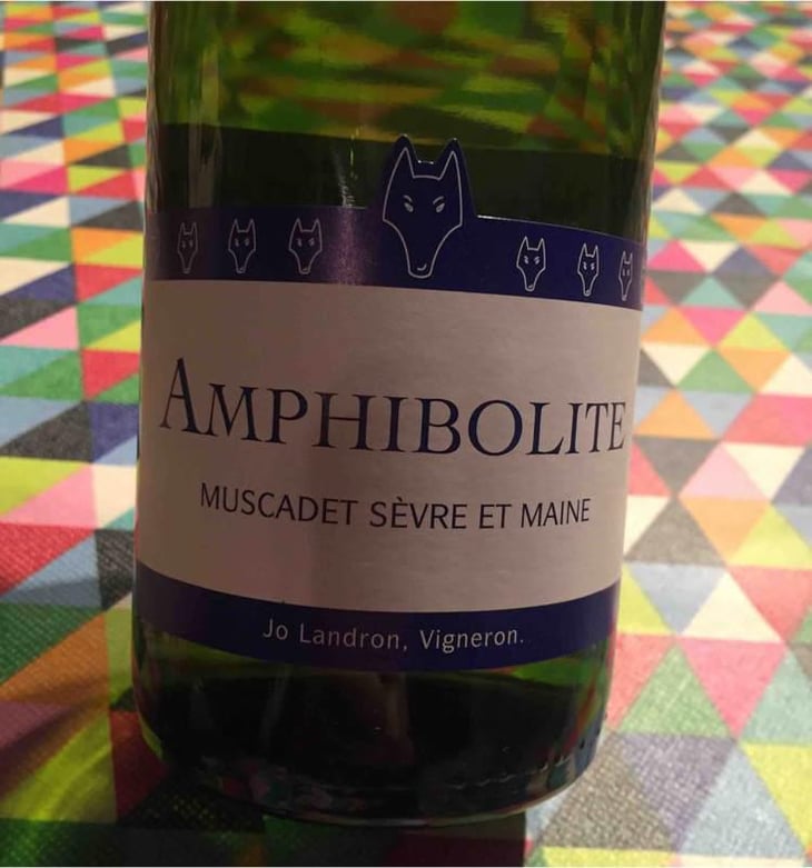 Amphibolite - Domaine Jo Landron - Jo Landron 