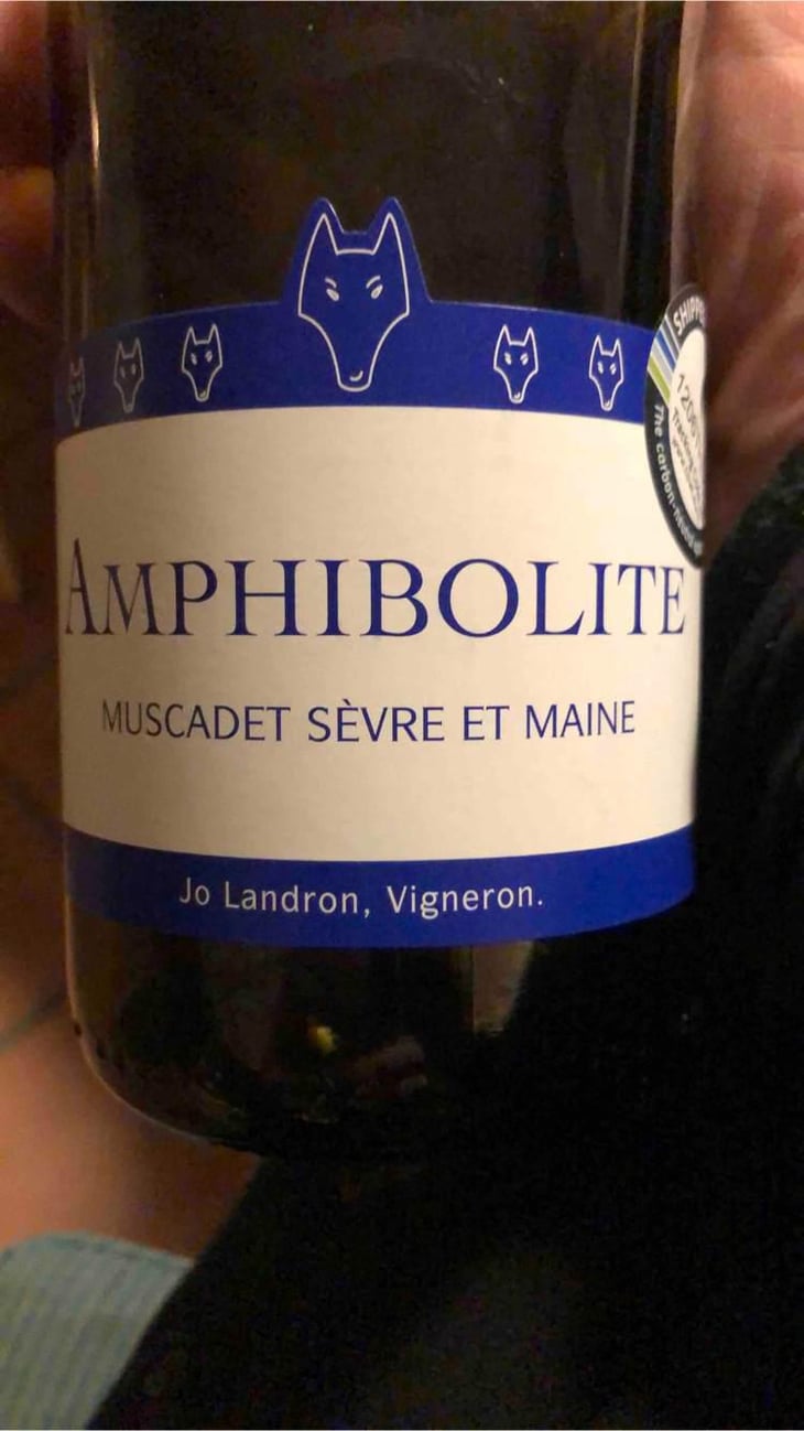 Amphibolite - Domaine Jo Landron - Jo Landron 