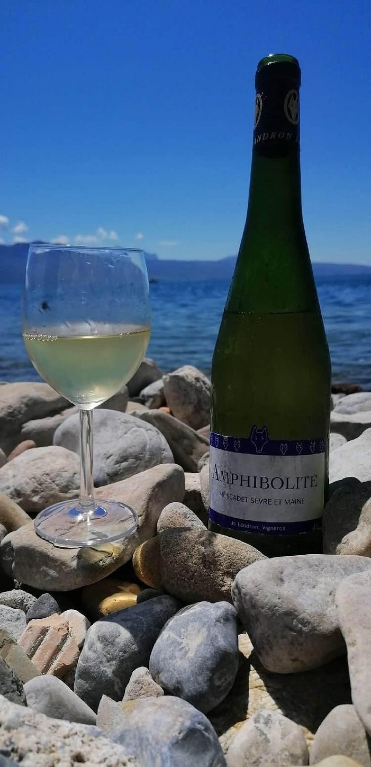 Amphibolite - Domaine Jo Landron - Jo Landron 