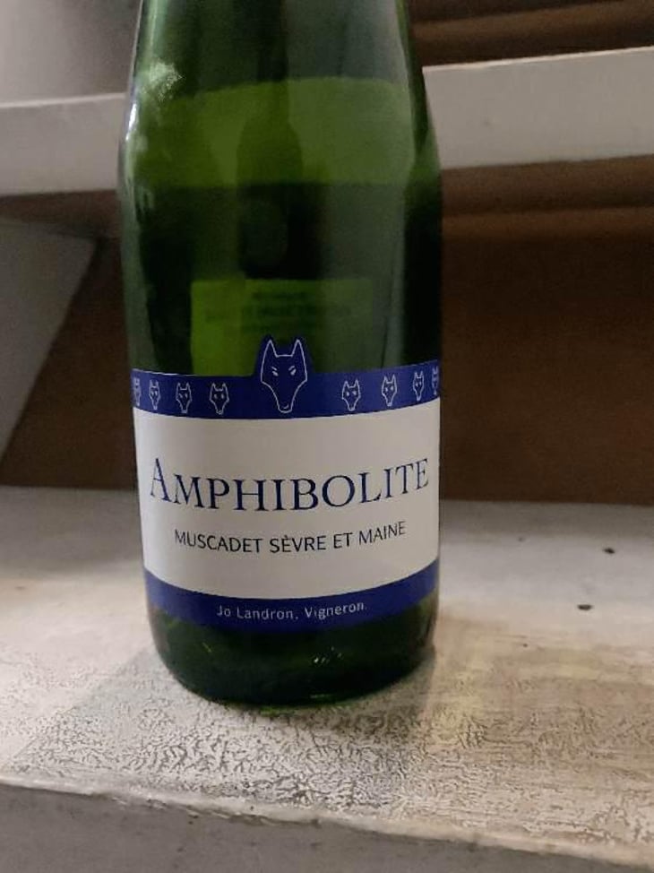 Amphibolite - Domaine Jo Landron - Jo Landron 