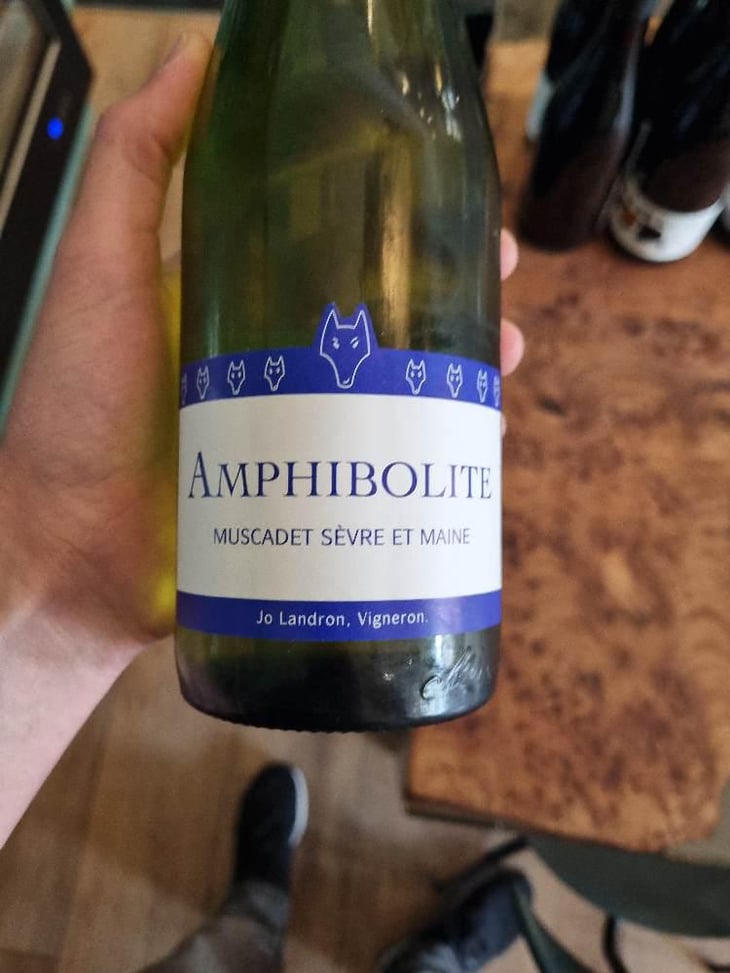 Amphibolite - Domaine Jo Landron - Jo Landron 