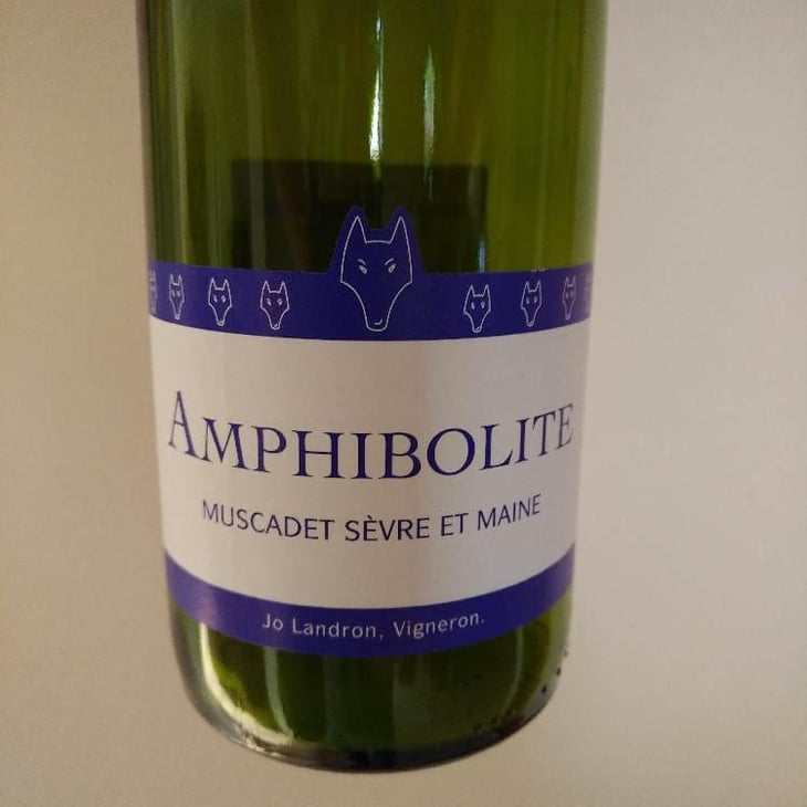 Amphibolite - Domaine Jo Landron - Jo Landron 