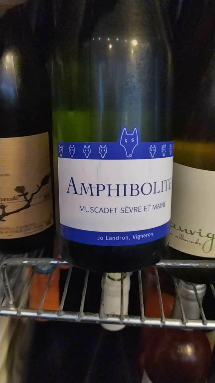 Amphibolite - Domaine Jo Landron - Jo Landron 