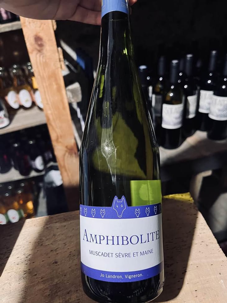 Amphibolite - Domaine Jo Landron - Jo Landron 