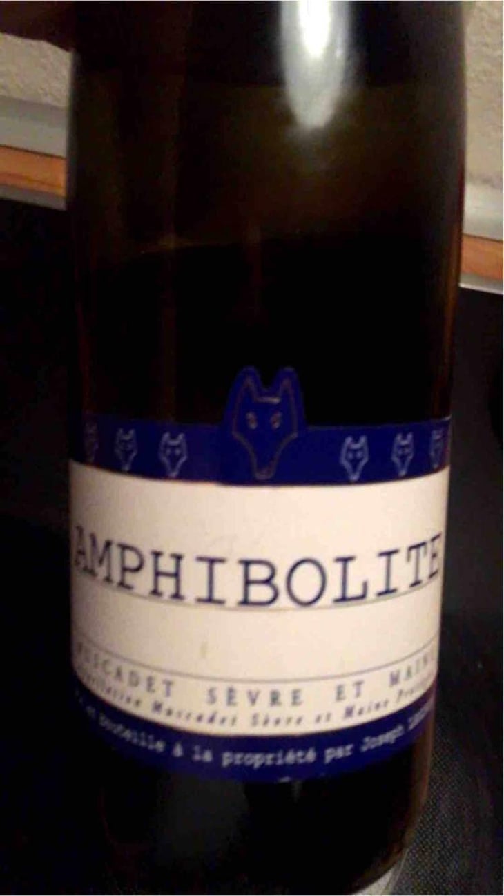 Amphibolite - Domaine Jo Landron - Jo Landron 