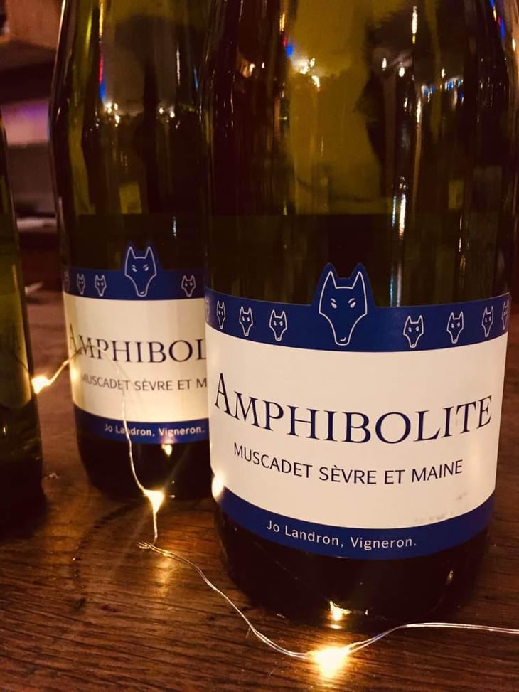 Amphibolite - Domaine Jo Landron - Jo Landron 