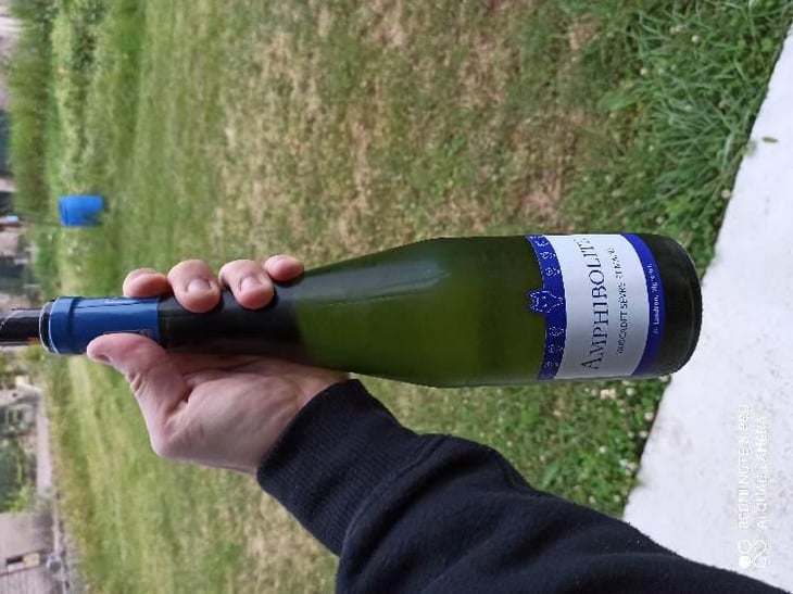Amphibolite - Domaine Jo Landron - Jo Landron 